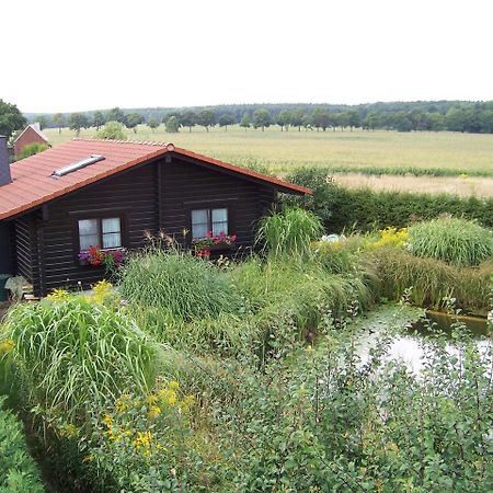 Ferienhaus Hohenlubast Grafenhainichen Exterior photo